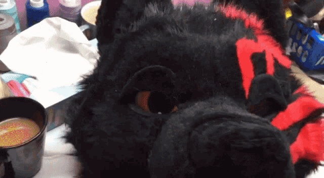 a close up of a stuffed animal 's head with a cup of coffee in the background .