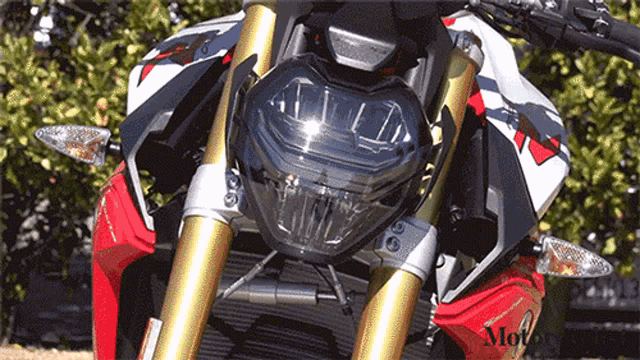 Motorcycle Motorcyclist GIF - Motorcycle Motorcyclist Bmw F900 GIFs