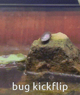a picture of a bug on a rock with the words bug kickflip below it