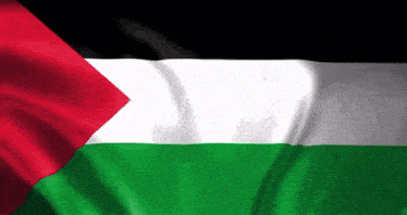Palestinian Flag Karim GIF - Palestinian Flag Karim GIFs