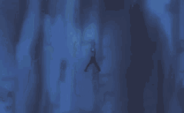 a person is standing in the middle of a forest in the dark