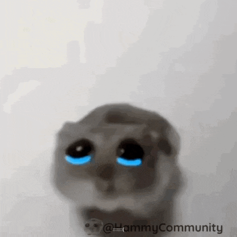 a cat with blue eyes is crying .