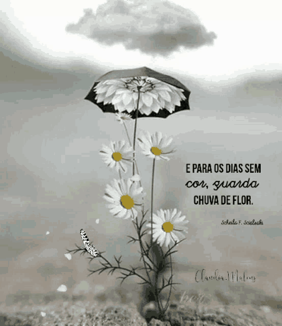 a picture of daisies under an umbrella with a quote by charles f. schulski