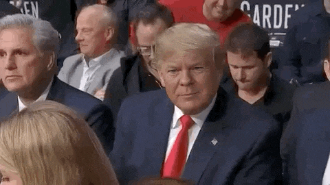 donald trump is sitting in the audience at a boxing match .