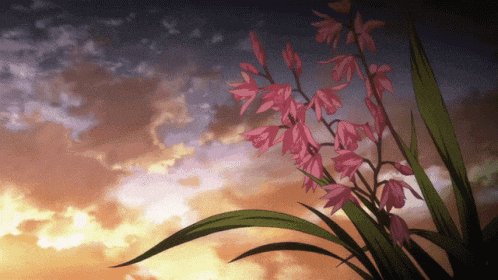 a plant with pink flowers and green leaves against a sunset sky