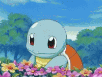 Pokemon Squirtle GIF - Pokemon Squirtle Flower GIFs