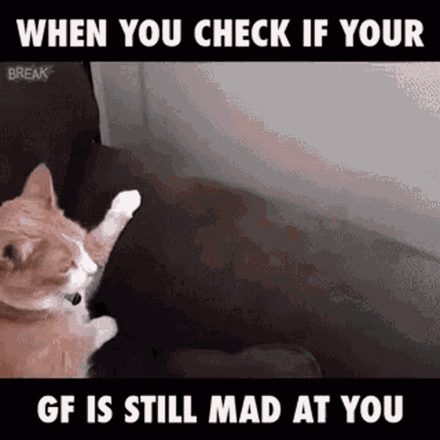 Mad Are GIF - Mad Are You GIFs