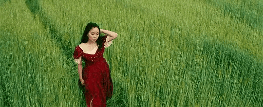 a woman in a red dress is standing in a field of grass .
