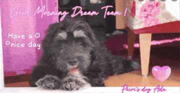 a picture of a dog with the words good morning dream team written above it