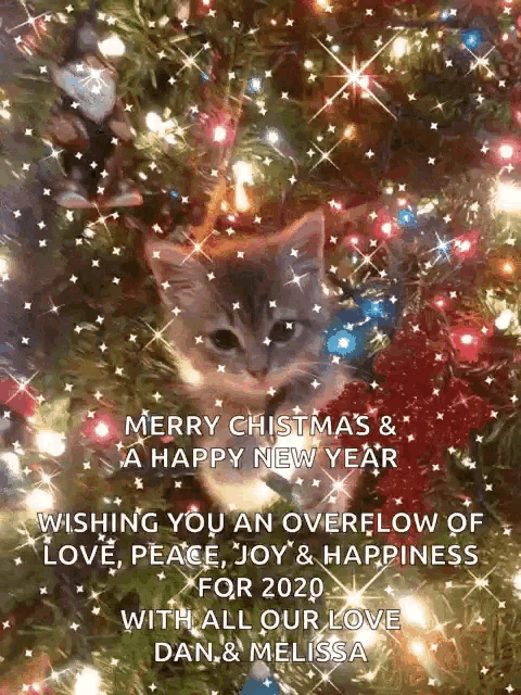 a cat is sitting under a christmas tree with a merry christmas and happy new year message