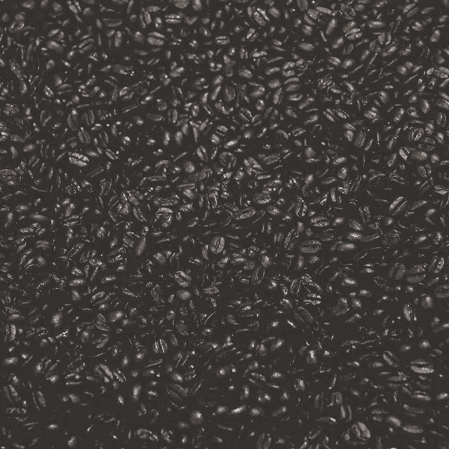 a bag of death wish coffee sits on a pile of beans
