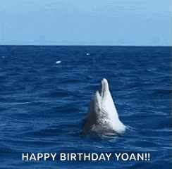 a dolphin is jumping out of the water with the words happy birthday yoan