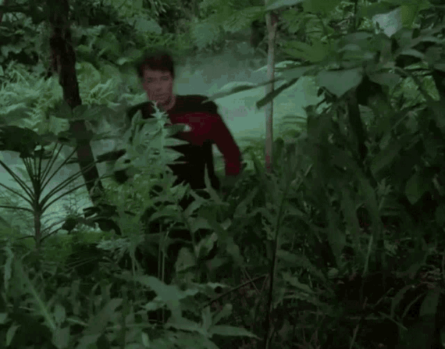 Star Trek Riker GIF - Star Trek Riker Forest GIFs