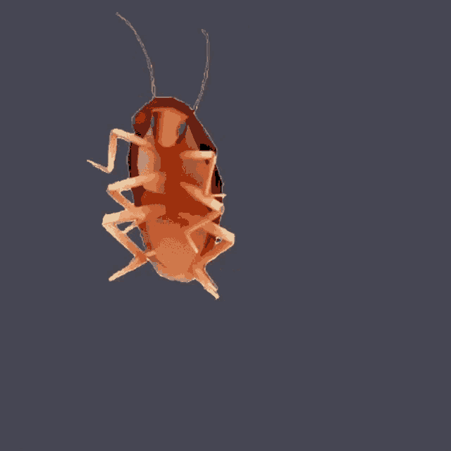 a cockroach is flying in the air on a dark background