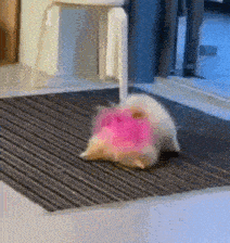 a cat with a pink bow on its head is laying on a rug
