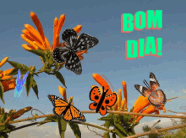 a bunch of butterflies are on a plant with the words bom dia