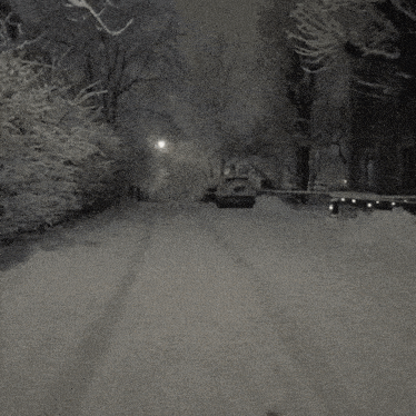 a black and white photo of a snow covered park at night .