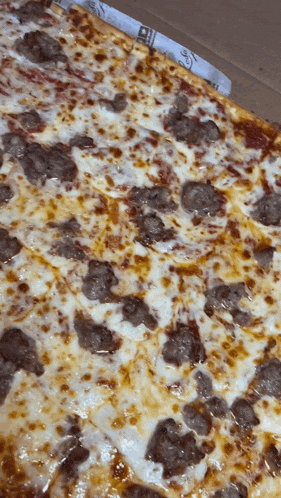 a pizza with sausage and cheese in a box