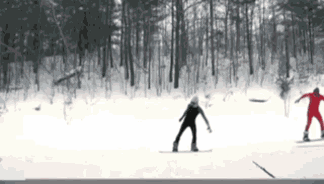 two people are skiing down a snow covered slope in the woods