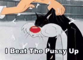sylvester from looney tunes is being pummeled by a person with the words " i beat the pussy up " on the bottom