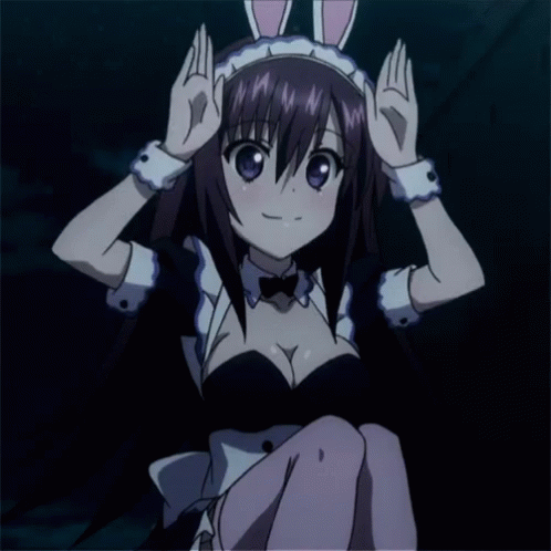 Maid Girl Bunny GIF - Maid Girl Bunny Anime GIFs