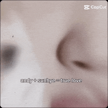 a close up of a woman 's face with the words " andy + sunhye = true love "