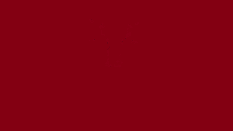 a red background with a silhouette of a cow and the words slagerij verstappen
