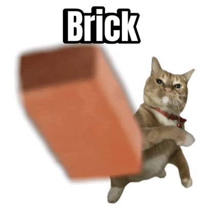 a cat is kicking a brick with the word brick behind it
