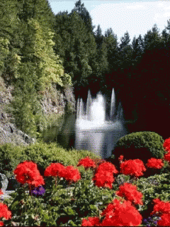 Red Flowers GIF - Red Flowers Plants GIFs