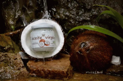 Aceite Coco Coconut GIF - Aceite Coco Coconut GIFs