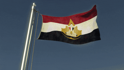 a flag with an eagle on it is waving in the wind