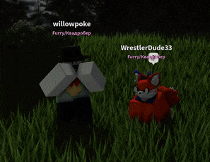 a willowpoke and a wrestlerdude33 are in the grass