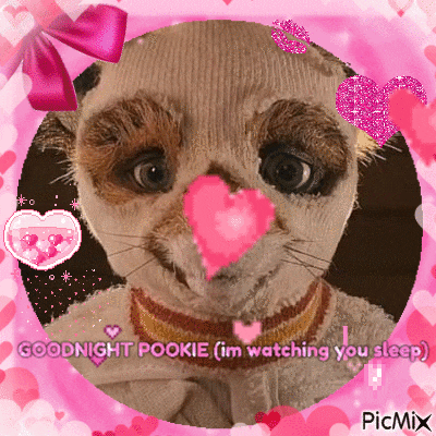 a picture of a cat with a heart on its nose and the caption goodnight pookie