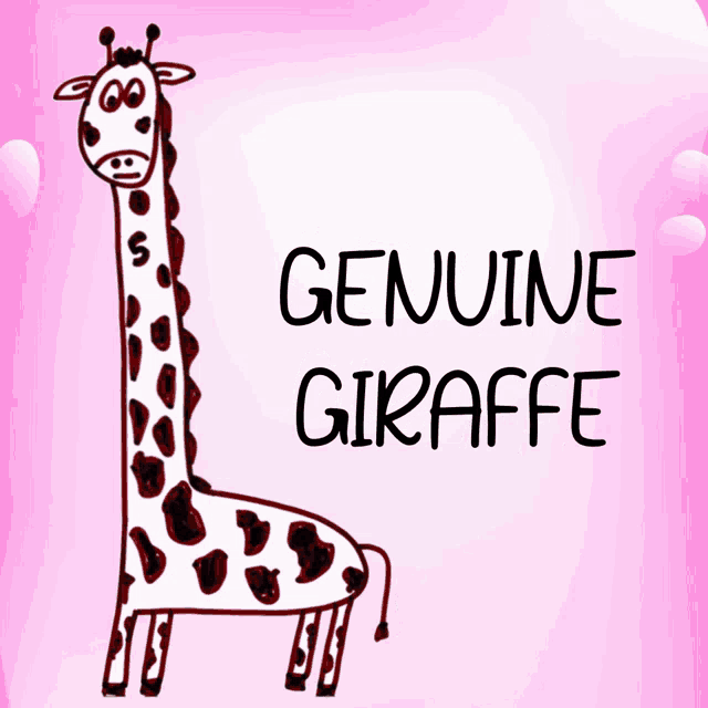 a drawing of a giraffe on a pink background with the words genuine giraffe below it
