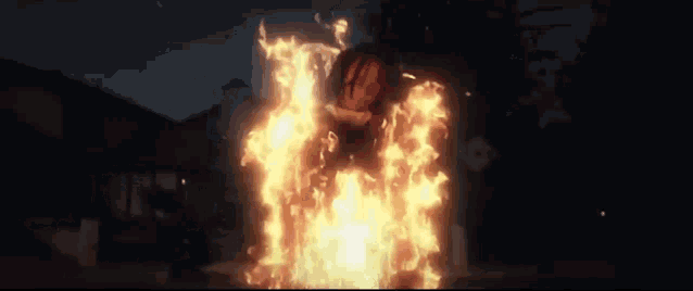 a person is standing in front of a fire at night .