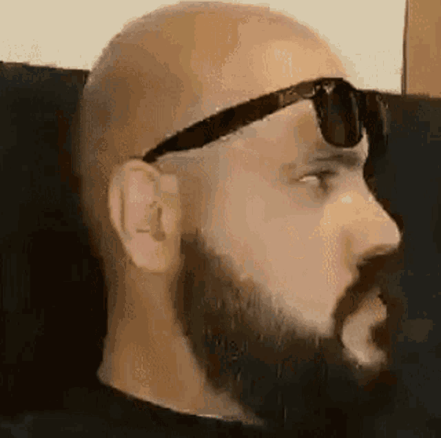 a bald man with a beard is wearing sunglasses while sitting on a couch .