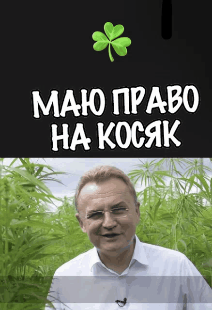 a man stands in front of a field of marijuana with a clover above him that says mano pravo ha kocak