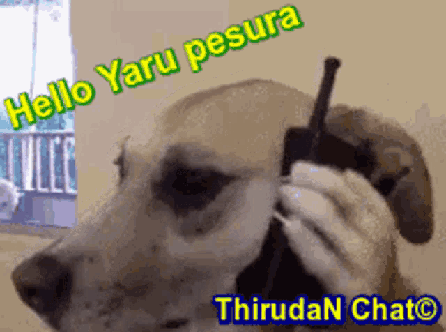 a picture of a dog talking on a cell phone with the words hello yaru pesura behind it