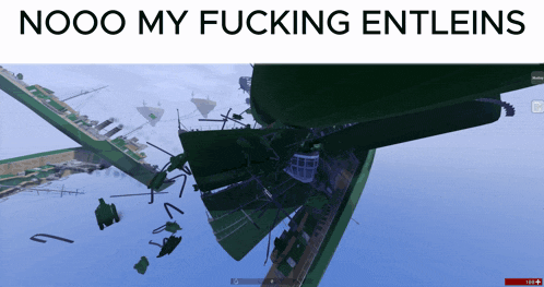 a screenshot of a game with the words nooo my fucking entleins