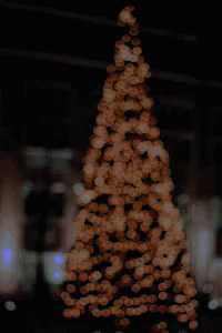 Luzes De Natal árvore GIF - Christmas Tree Light GIFs