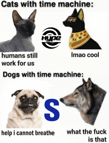 cats with time machine humans still work for us dogs with time machine s help i cannot breathe what the fuck is that