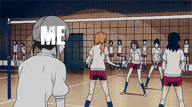 a group of girls are playing volleyball and one of them has the word me written on her helmet