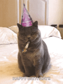 a cat wearing a birthday hat is sitting on a bed