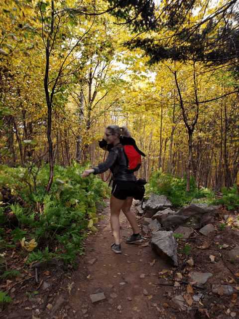 a woman carrying a child in a red backpack walks through a forest