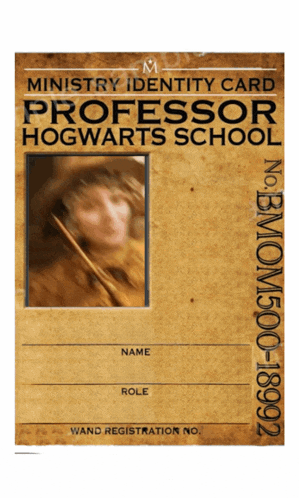 ministry identity card for professor hogwarts school