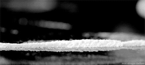Coca GIF - Cocaine Drugs GIFs