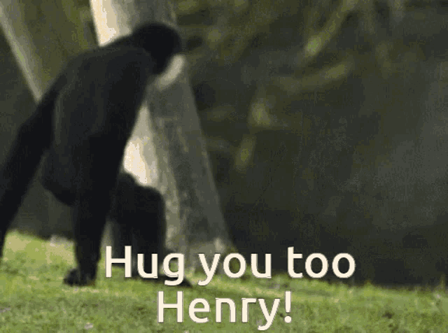 Hug Henry GIF - Hug Henry GIFs