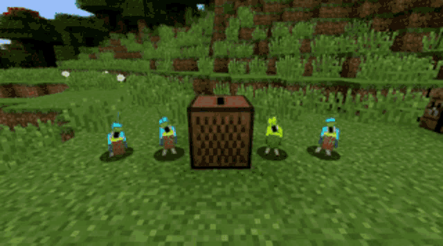 a group of birds are standing around a box in a minecraft world