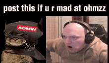 a cat wearing a batman hat with the word admin on it