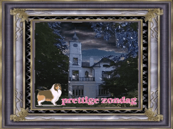 a picture of a collie in front of a house with the words prettige zondag written on it